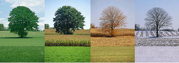 《刺客信条4：黑旗》重制版首批细节 不仅仅是画质升级